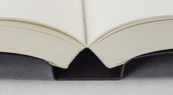 Bibliotheca Companion Notebook